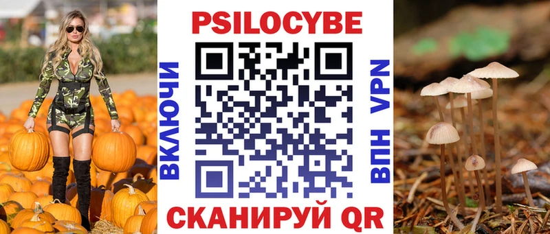 Купить где  Чебаркуль  Галлюциногенные грибы Cubensis 